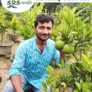 Indian Shiki Mosambi